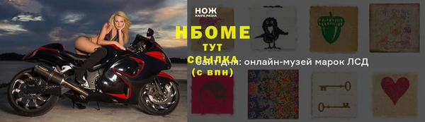 Альфа ПВП Няндома