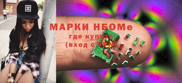 Альфа ПВП Няндома