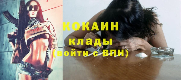 Альфа ПВП Няндома
